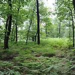 Albert Premier