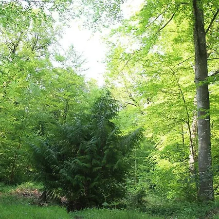 Albert Premier Hotel Bagnoles de l'Orne Normandie