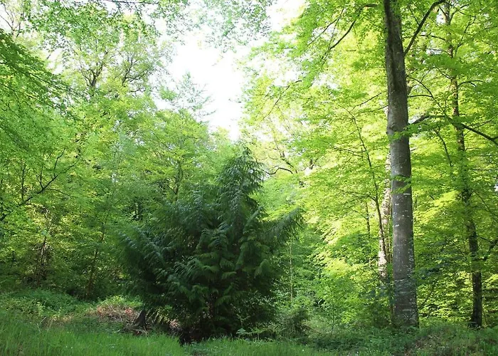 アルベール プレミア ホテル Bagnoles de l'Orne Normandie