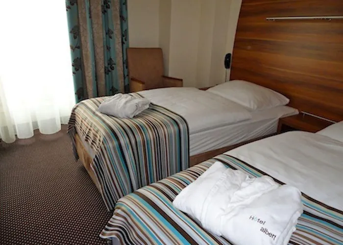 ホテル アルベール プレミア